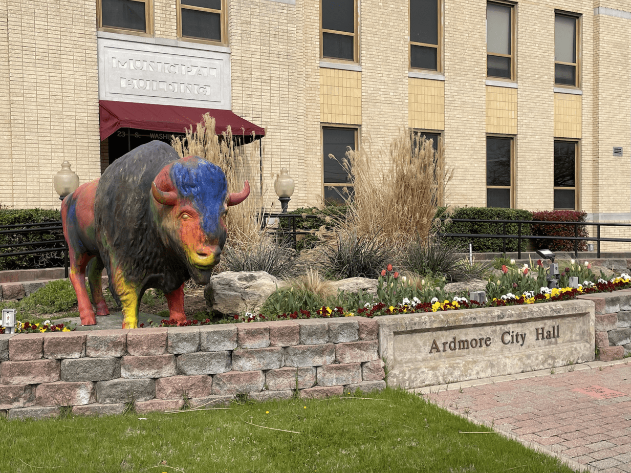 City hall with buffalo